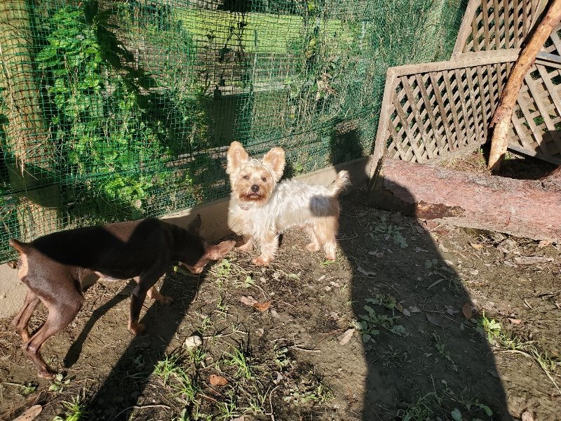 f:id:roukenhome-ann:20191106112359j:plain