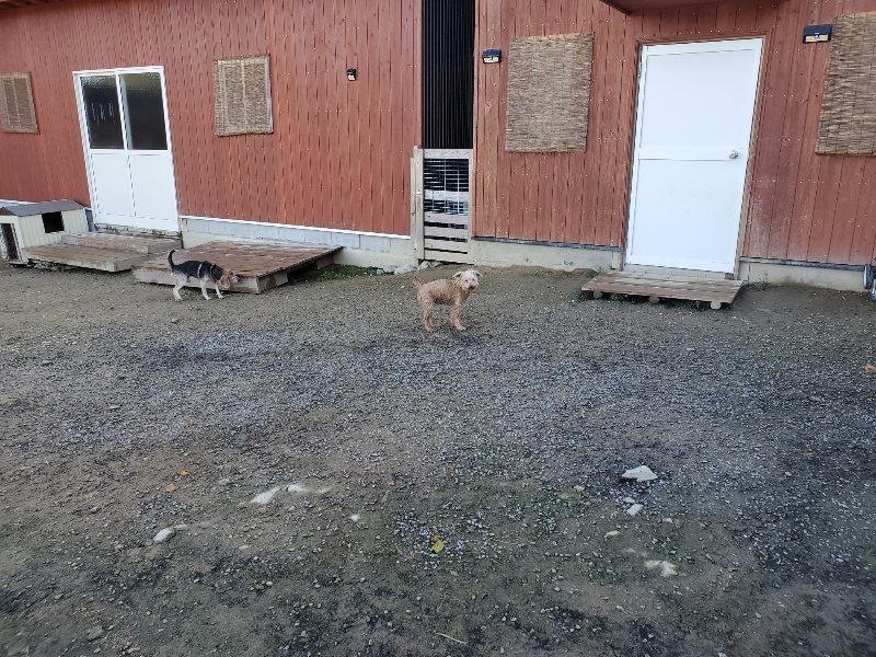 f:id:roukenhome-ann:20191106112422j:plain