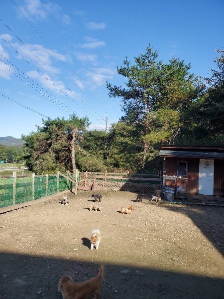 f:id:roukenhome-ann:20191106112432j:plain