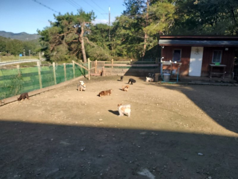 f:id:roukenhome-ann:20191106112459j:plain