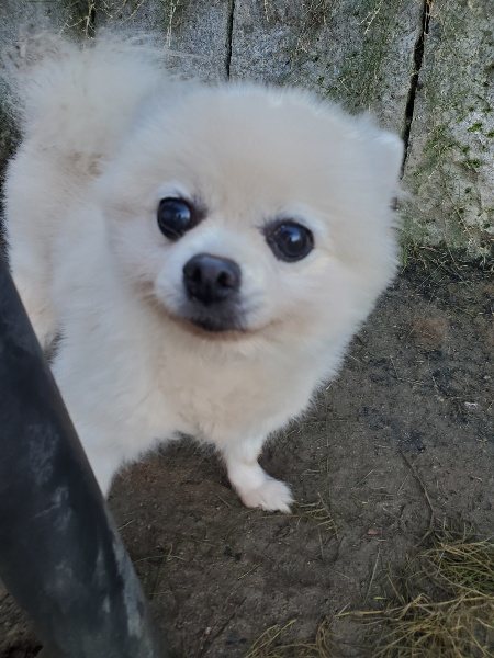 f:id:roukenhome-ann:20191106112525j:plain
