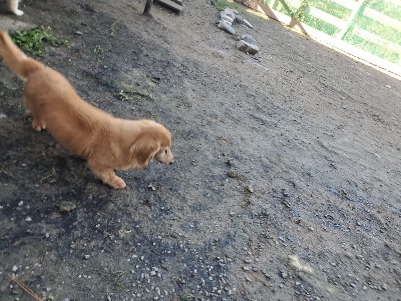 f:id:roukenhome-ann:20191106112546j:plain