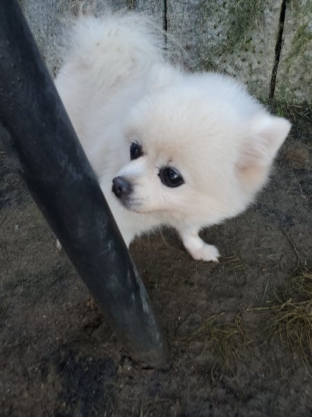 f:id:roukenhome-ann:20191106112558j:plain
