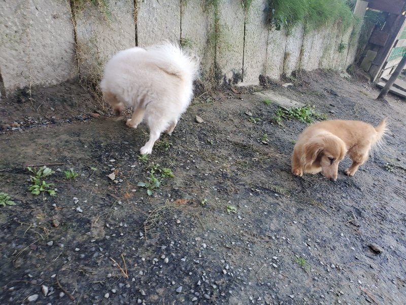 f:id:roukenhome-ann:20191106112626j:plain