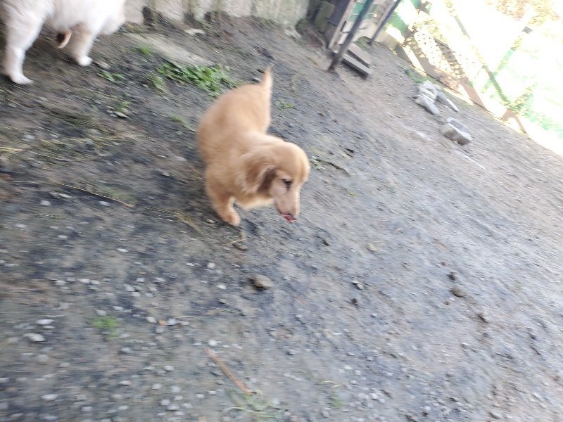 f:id:roukenhome-ann:20191106112643j:plain