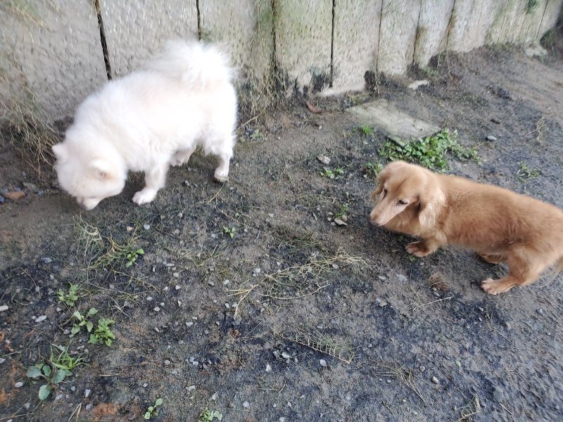 f:id:roukenhome-ann:20191106112723j:plain