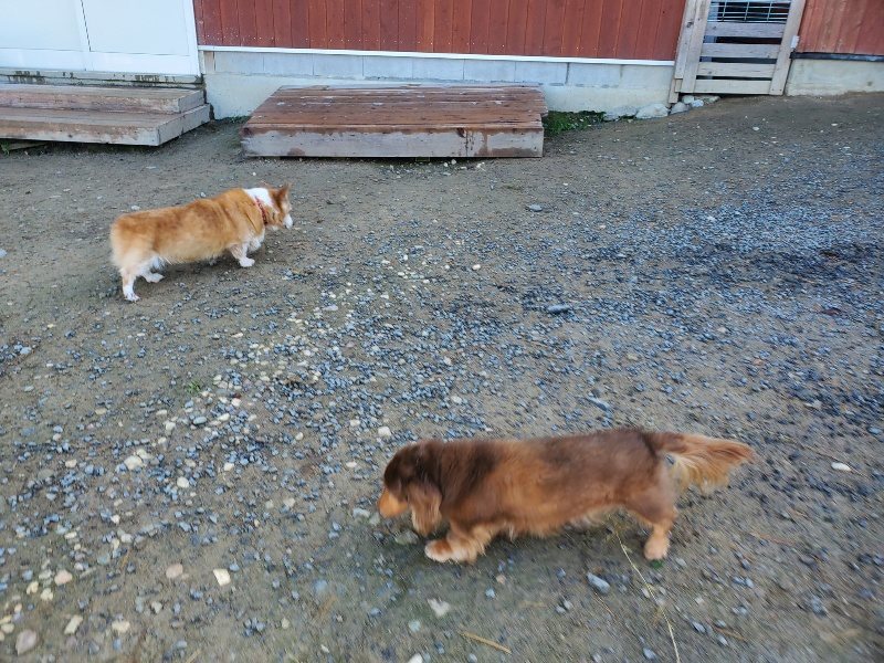 f:id:roukenhome-ann:20191106113027j:plain