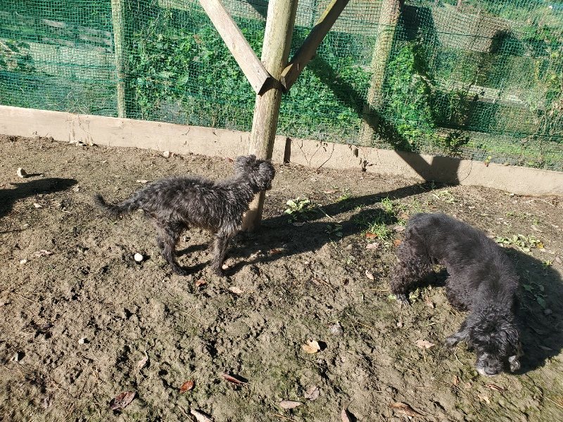 f:id:roukenhome-ann:20191106113458j:plain
