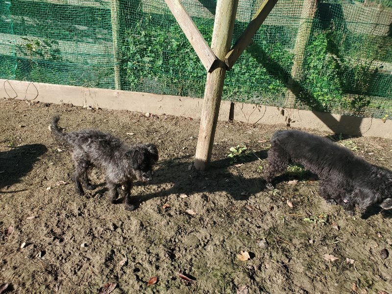 f:id:roukenhome-ann:20191106113533j:plain