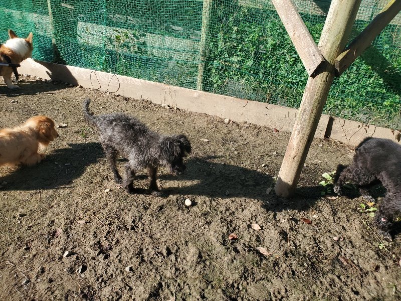 f:id:roukenhome-ann:20191106113612j:plain