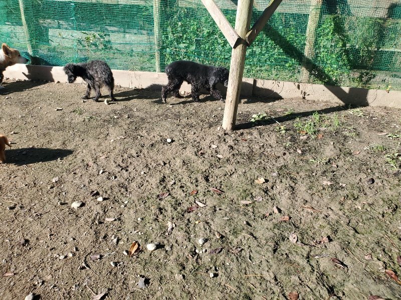 f:id:roukenhome-ann:20191106113713j:plain