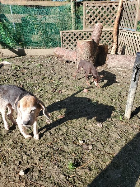 f:id:roukenhome-ann:20191106114004j:plain