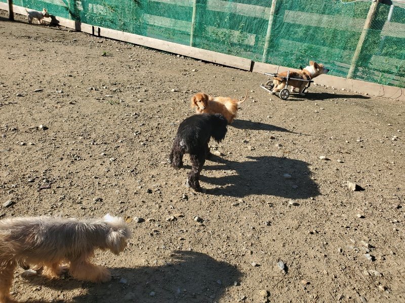 f:id:roukenhome-ann:20191106114256j:plain