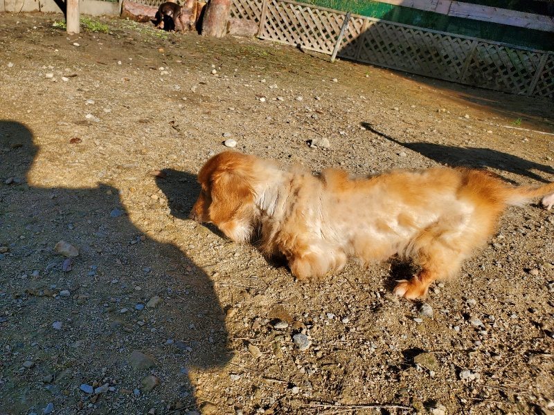 f:id:roukenhome-ann:20191106114435j:plain
