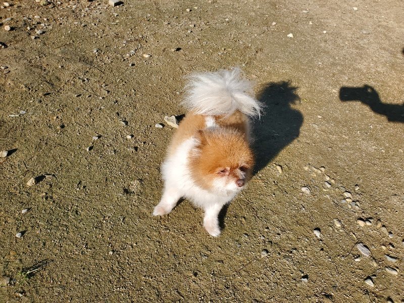 f:id:roukenhome-ann:20191106114543j:plain