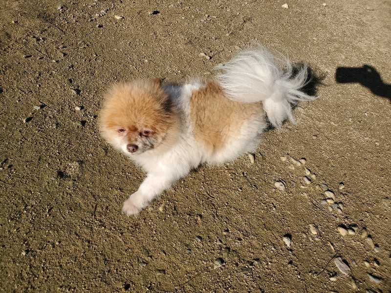 f:id:roukenhome-ann:20191106114634j:plain