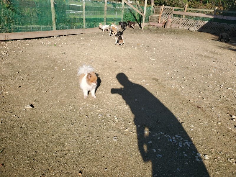 f:id:roukenhome-ann:20191106114719j:plain