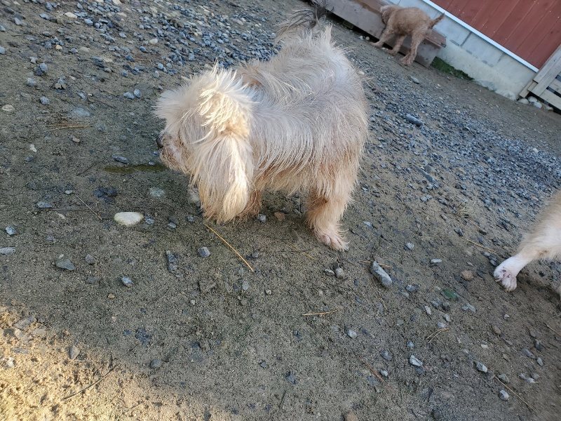 f:id:roukenhome-ann:20191106114743j:plain