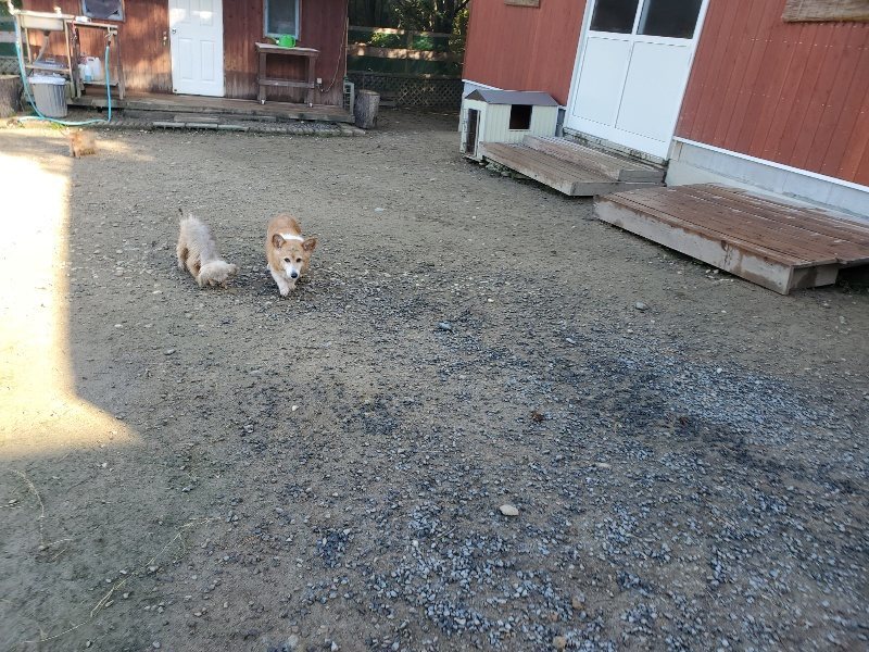 f:id:roukenhome-ann:20191106114855j:plain