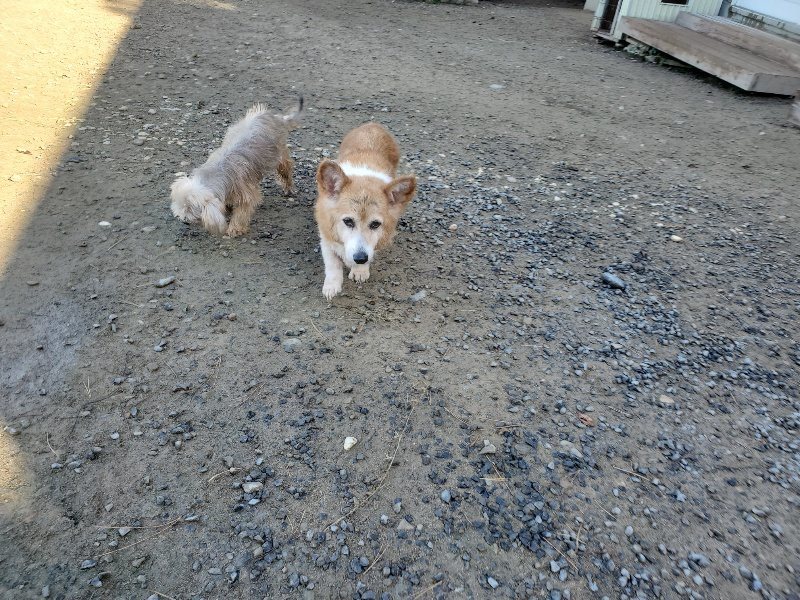 f:id:roukenhome-ann:20191106114909j:plain