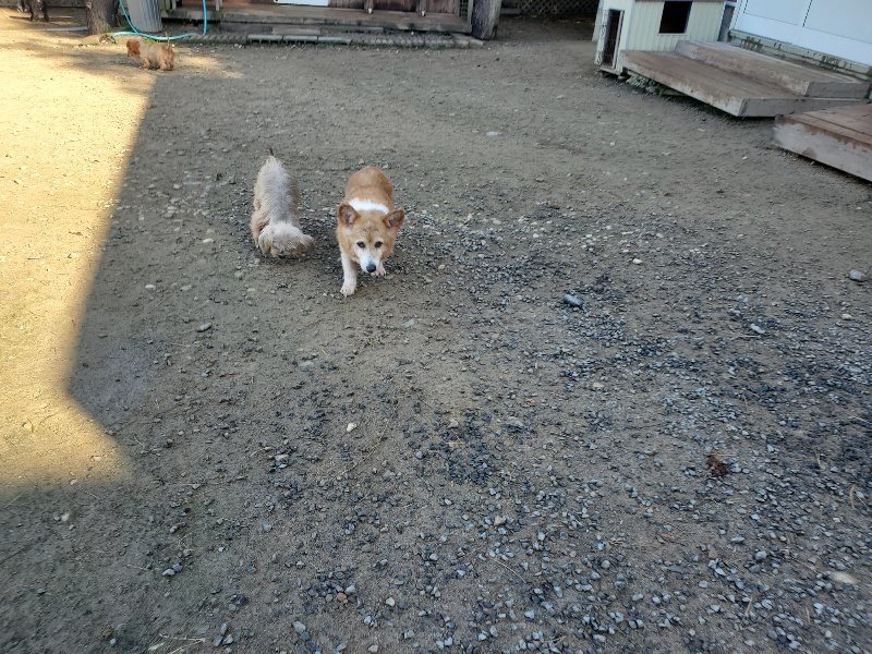 f:id:roukenhome-ann:20191106114930j:plain