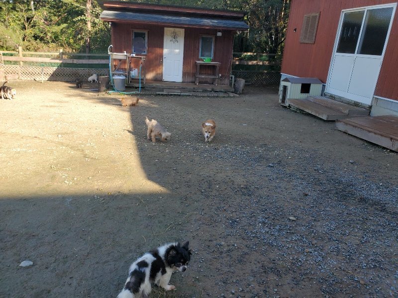 f:id:roukenhome-ann:20191106114940j:plain