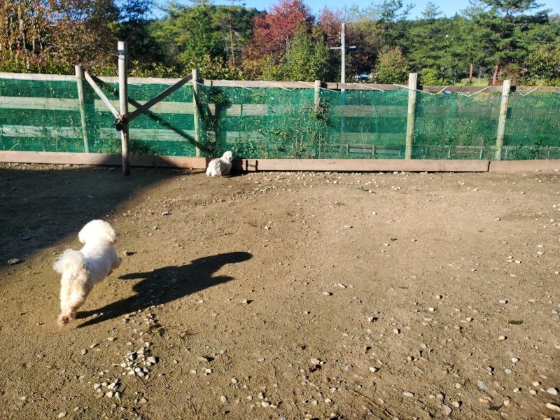 f:id:roukenhome-ann:20191106115121j:plain