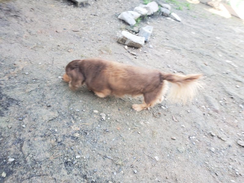 f:id:roukenhome-ann:20191106115153j:plain