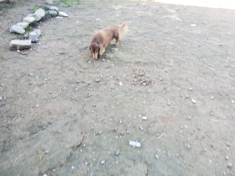 f:id:roukenhome-ann:20191106115233j:plain
