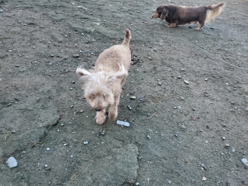 f:id:roukenhome-ann:20191106115321j:plain