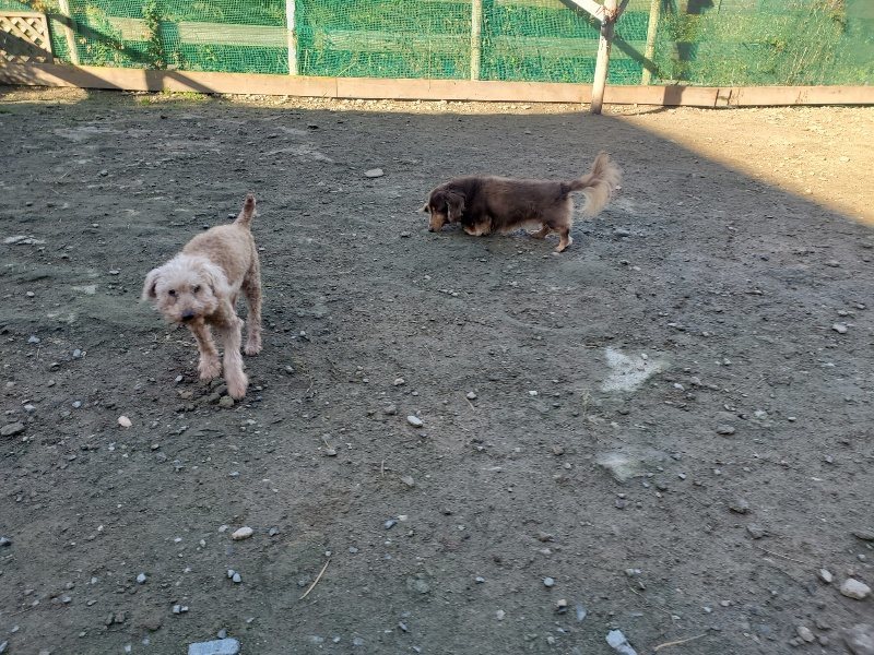 f:id:roukenhome-ann:20191106115347j:plain