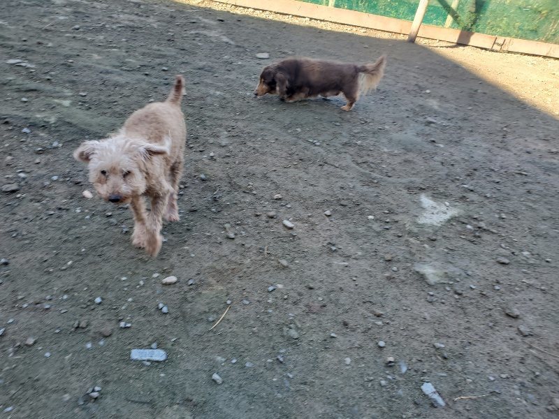 f:id:roukenhome-ann:20191106115415j:plain