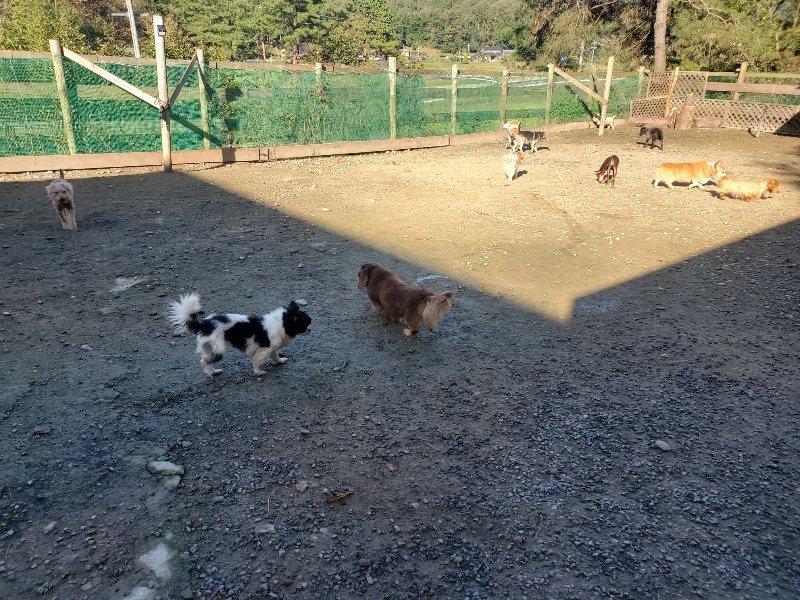 f:id:roukenhome-ann:20191106115510j:plain