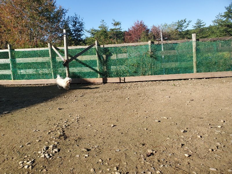 f:id:roukenhome-ann:20191106115603j:plain