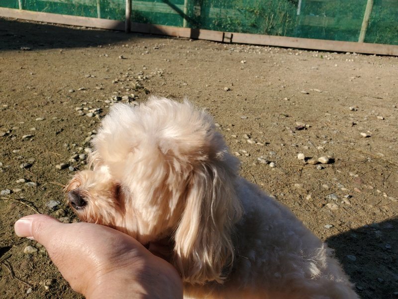 f:id:roukenhome-ann:20191106115619j:plain