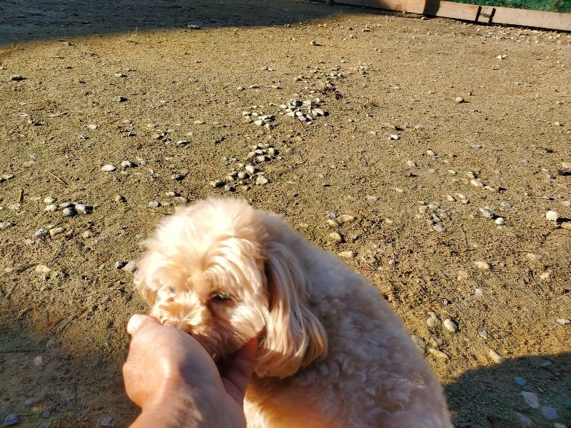 f:id:roukenhome-ann:20191106115646j:plain