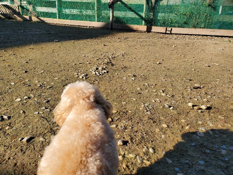 f:id:roukenhome-ann:20191106115705j:plain