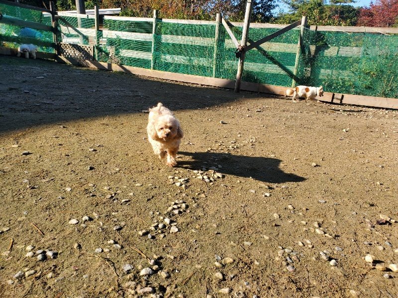 f:id:roukenhome-ann:20191106115739j:plain