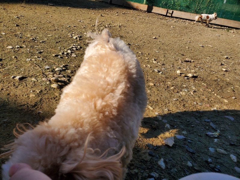 f:id:roukenhome-ann:20191106115751j:plain