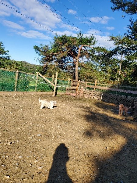 f:id:roukenhome-ann:20191106115807j:plain