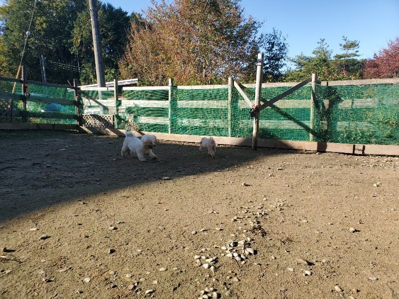 f:id:roukenhome-ann:20191106115828j:plain