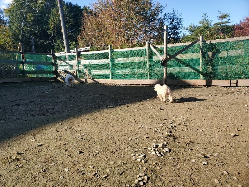 f:id:roukenhome-ann:20191106115854j:plain