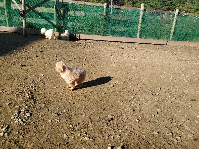 f:id:roukenhome-ann:20191106115913j:plain