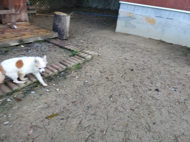 f:id:roukenhome-ann:20191106120736j:plain