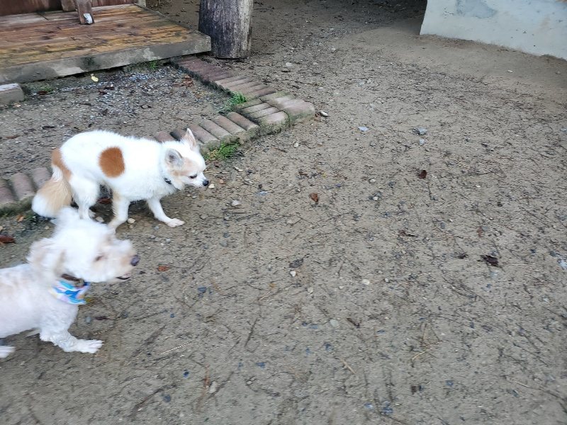 f:id:roukenhome-ann:20191106120749j:plain