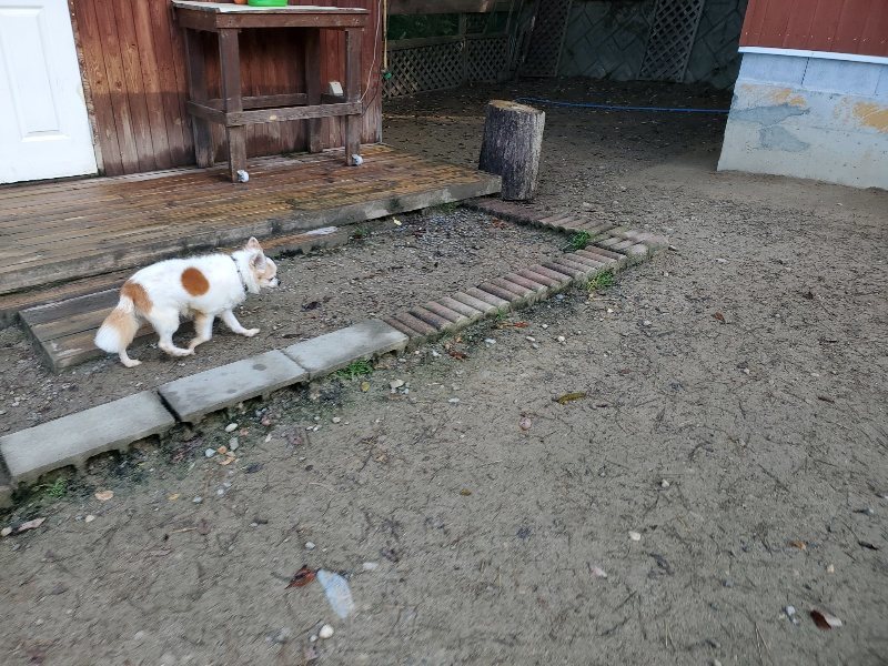 f:id:roukenhome-ann:20191106120801j:plain