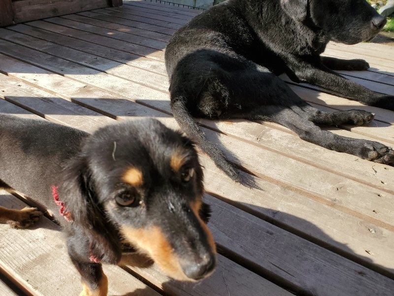 f:id:roukenhome-ann:20191106120831j:plain