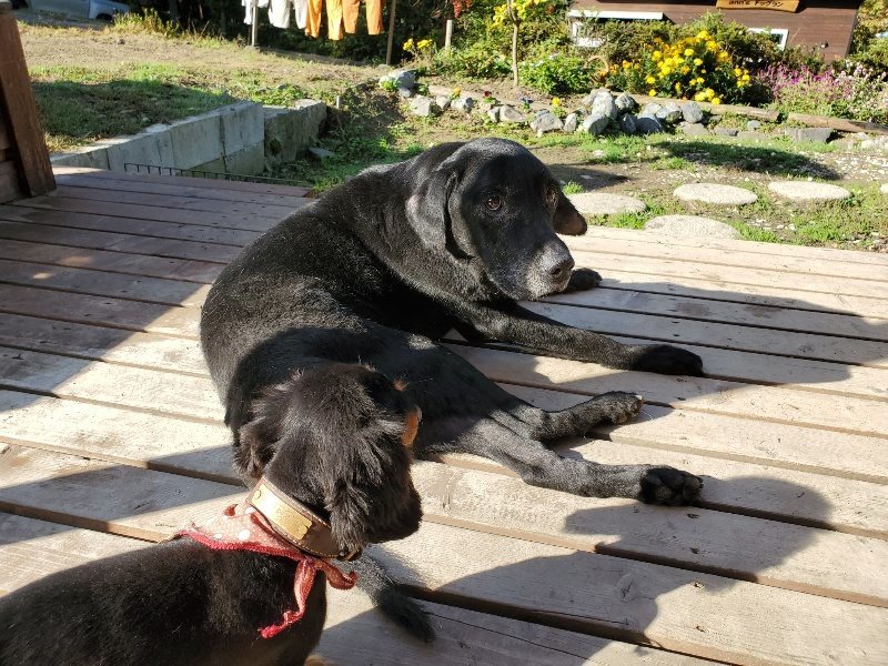f:id:roukenhome-ann:20191106120847j:plain