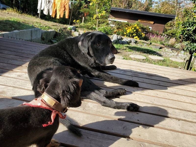 f:id:roukenhome-ann:20191106120853j:plain