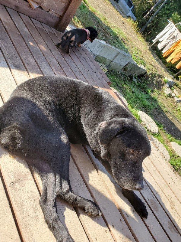 f:id:roukenhome-ann:20191106120912j:plain